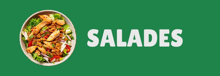 salades du restaurant Babylone Kebab de 50400 Granville