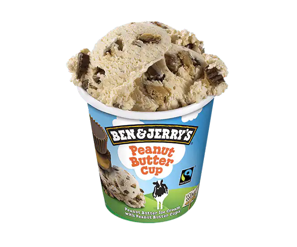 Desserts BEN ET JERRYS Peanut Butter 100ML du restaurant Babylone Kebab de 50400 Granville