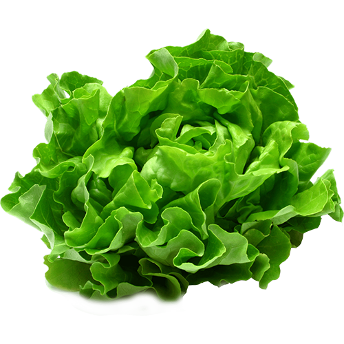 Attribut Salade du restaurant Babylone Kebab de 50400 Granville